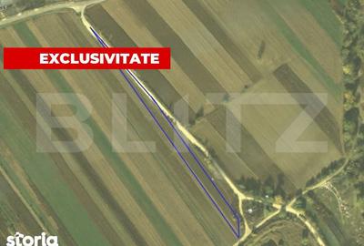 Teren de 4300 mp, în Vințu de Jos