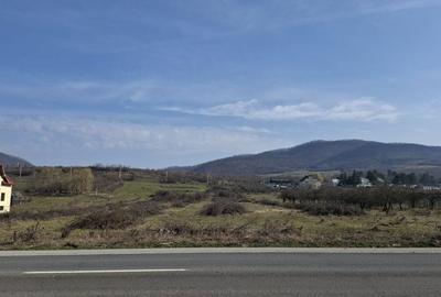 Teren de 14500 mp, în Exterior Vest - 4