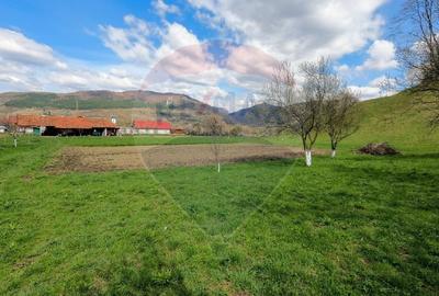 Teren partial intravilan 2,984mp Baru ,jud.Hunedoara - 3
