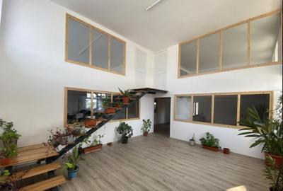 Proprietate agroindustriala, hala 1590 mp, teren 28000 mp, p - 3