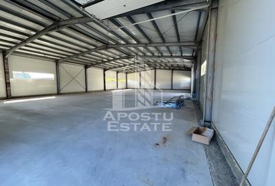 Hala noua de inchiriat 550 mp, birouri, parcare, Sacalaz. - 2