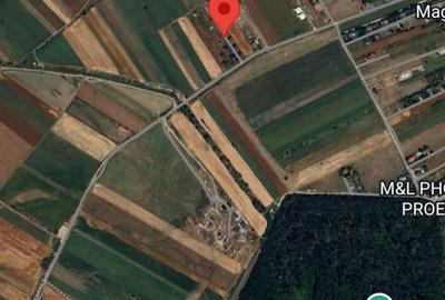 Spațiu comercial, în Gulia