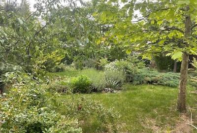 VILA INDIVIDUALA P+1 / PIPERA / DRUMUL BISERICII / 1350 TEREN - 7