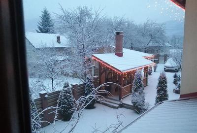 Casă cu 8 camere cu Teren 1280 Mp în Valea Doftanei - 2