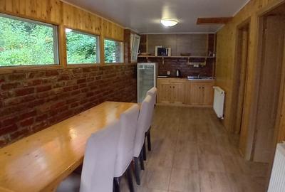 Casă cochetă de vânzare, 4 camere, Stațiunea Azuga - 7