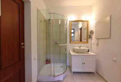 Casa de exceptie Campina - 22