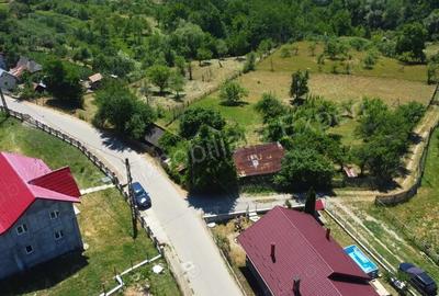 Teren de vanzare in comuna Cicane?ti, sat Bara?ti, jude? Arge?. - 18