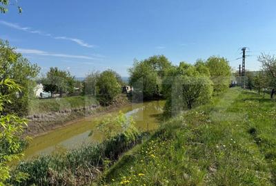 Teren 19000mp , iaz -120mp, Botosanita, Siret - 2