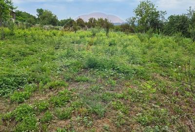 Comision 0! Casa din inima Subcarpaților — comuna Cislau, teren 5000mp - 24