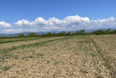 Teren la 13 KM de Baia Mare - 2