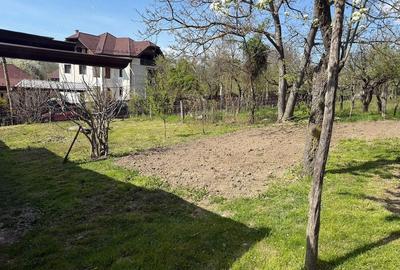 Casă cu 4 camere cu Teren 4000 Mp în Valea Popii (Mihăești) - 9