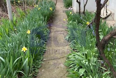 Casă cu 3 camere cu Teren 288 Mp în Eroii Revoluției