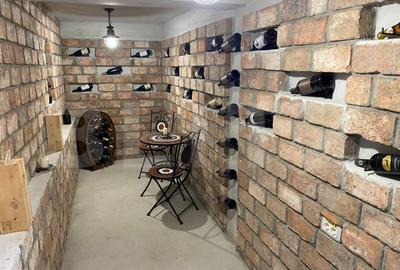 Cabana deosebita in Campenesti - un refugiu modern cu priveliste superba la lac Cabana deosebita in Campenesti - un refugiu modern cu priveliste superba la lac - 15