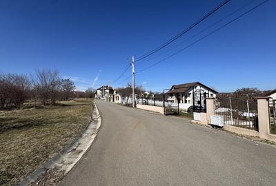 Teren Construcții de 9685 mp, în Păulești - 13