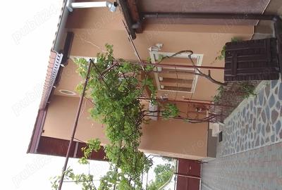 Casa de vanzare 2018, la cheie cu gradina + Casa batraneasca cu gradina gratis la pachet. - 10