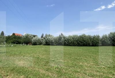 Teren intravilan 3.000 mp cu front stradal 30 m - Sat. Moacsa, utilitati. - 3