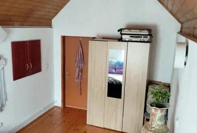 Apartament la casa 2 camere Calea Dumbravii - 16