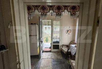 Teren 3000 mp + 2 case de vanzare-Ca?eiu - 11