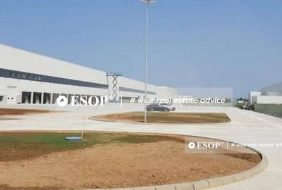 WDP Industrial Park Dragomiresti, spatii industriale, 0% ... - 3