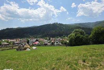 Teren de 6312 mp, în Rucăr - 4