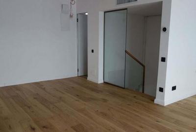 Parcul herastrau-Aviatiei-Pasajul Baneasa Parcul herastrau-Aviatiei-Pasajul Baneasa - 2