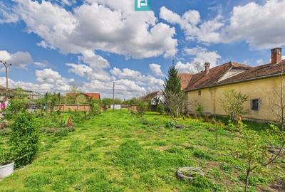 Teren 1300 mp, Beregsău Mare - 2