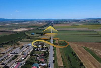Teren la strada principala - E85 - DE INCHIRIAT - OFERTA! - 6