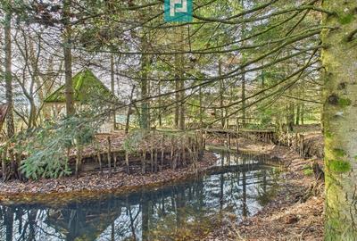 Casă P+E+M cu teren 8163 mp – Roșia Nouă (Petriș) - 10