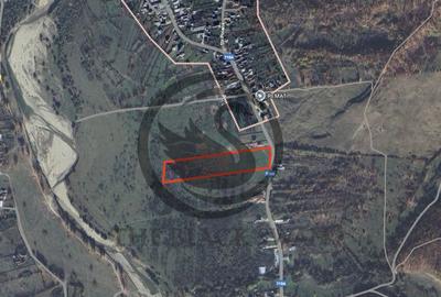 Teren intravilan de vanzare | 26.908 MP | Iedera de jos |... - 5