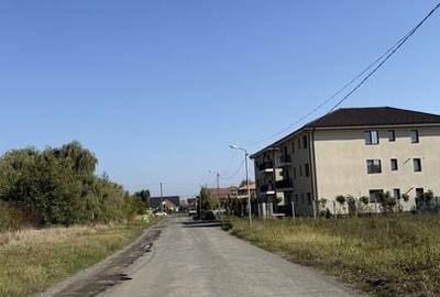 TERENURI LOCUINTE COLECTIVE - 3