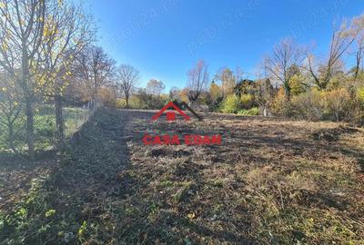 Teren intravilan in Cornu 3171 mp--89.000e - 12