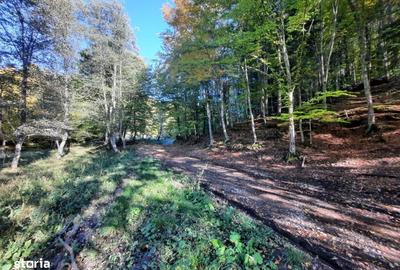 Teren de 7160 mp, în Central - 3