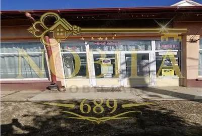 Spațiu comercial, de 500 mp, în Buciumi - 5