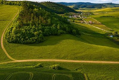 Teren extravilan de 6000 mp, în Sângeorgiu de Mureș