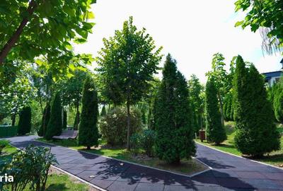 Apartament cu 5 camere, mobilat în Tei - 4