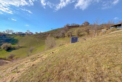 Teren extravilan de 12000 mp, în Holbav - 20
