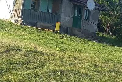 Casă cu 2 camere cu Teren 132 Mp în Ceanu Mare - 13