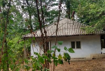 Vand casa in Crasna, Vaslui