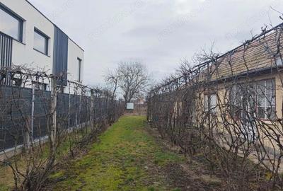 Casă cu 3 camere cu Teren 2000 Mp în Criș