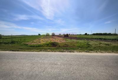 Teren Construcții intravilan de 4770 mp, în Dărăști-Ilfov - 6