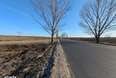 Teren de 10000 mp, în Săucești - 1