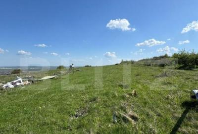 EXCLUSIVITATE! Cabana CHEILE TURZII, teren 8700 mp, privelis - 4