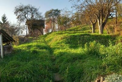 Casă cu 3 camere cu Teren 2300 Mp în Tudor Vladimirescu - 2