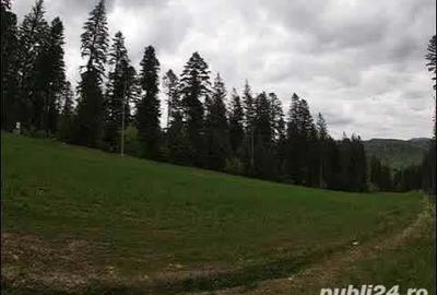 Teren de 8200 mp, în Poiana Țapului - 1