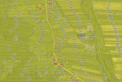 Teren extravilan, loc. Bustuchin, Jud Gorj - 2