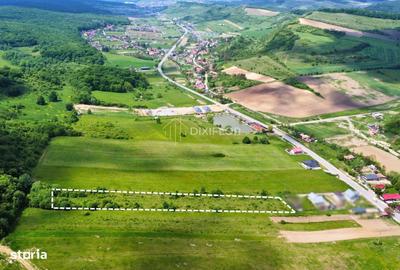 Spațiu comercial, în Sânișor - 2