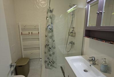 Apartament cu 2 camere semidecomandat, mobilat în Pipera - 9