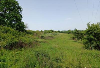 Resita, Teren Drept Intravilan, 11510 Mp., 4 Euro Mp., Valea Terovei - 14