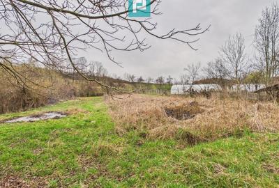 Casă individuală cu 7 camere cu Teren 1201 Mp în Almaș - 8