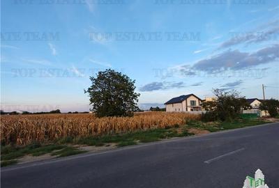 Teren intravilan pentru constructii stradal, 2965 mp, cu toate utilitatile si de